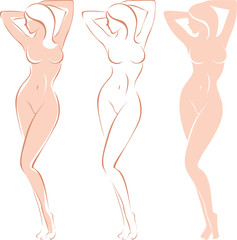Three variations of beautiful nude woman silhouette