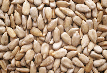 Sunflower Seeds - Sonnenblumenkerne Makro