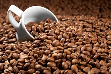 Fotobehang Koffie Kopje in een korrel koffie