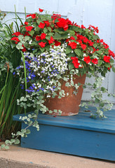 Flower Garden Planter