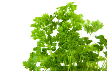 Parsley