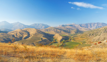 autumn mountain landscape. beautiful vineyards