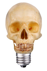 lightbulb skull