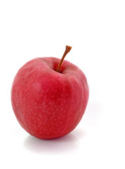 Red apple on white background