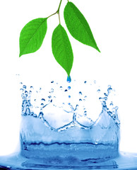 abstract water splash background