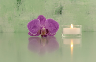 Orchidee mit Kerze
