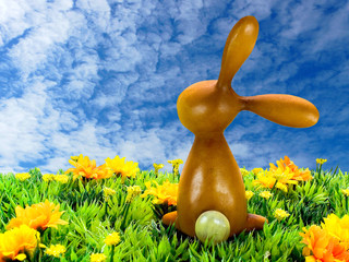Osterhase auf Wiese