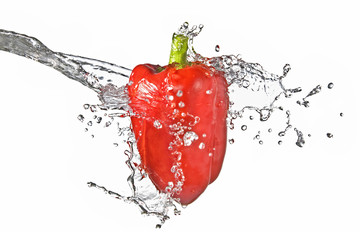 fresh water splash on red sweet pepper isolated on white