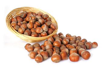 hazelnut