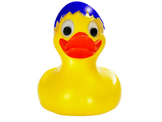 Osterente Frontal blau