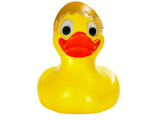 Osterente Frontal orange