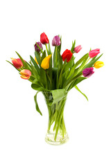 Dutch tulips in glass vase over white background