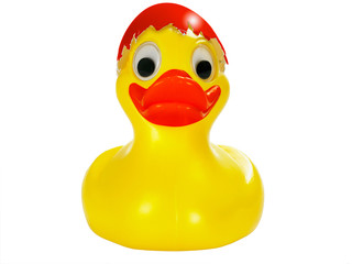 Osterente Frontal rot