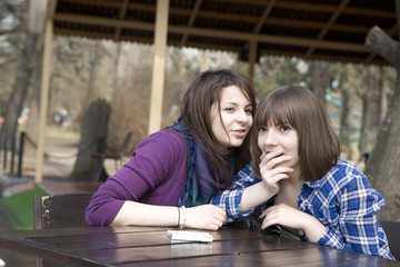 gossip girls. Two young woman sitting instreet cafe and talking