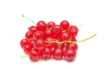 red currant