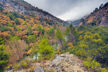 Rio Tajo