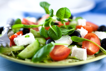 Salad with feta cheese and tatsoi