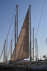 Obraz premium segelyacht