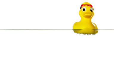 Osterente Wasser Flagge Deutschland