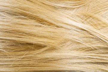 Close-up of blonde hair