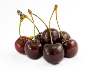 cherries isolated