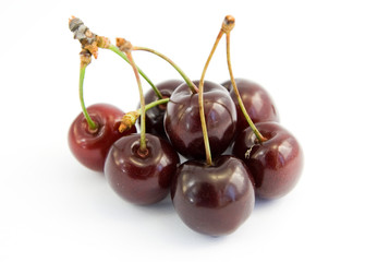 cherries isolated