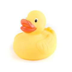 yellow duck