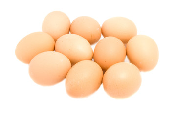 eggs isolated