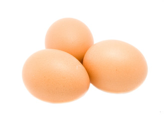 eggs isolated