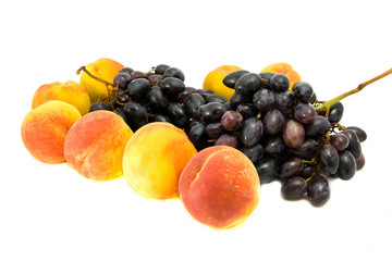 fruit isolated