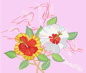 Hibiscus on a Pink Background