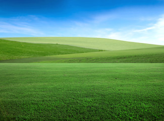 Green lawn