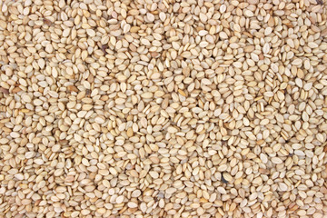 Close view of sesame seeds