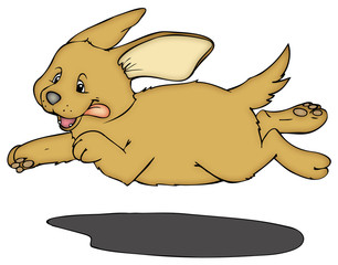 Hund, Welpe, Labrador, Retriever, Kind, Baby