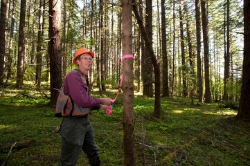 Forester in a Pacific Northwest forest