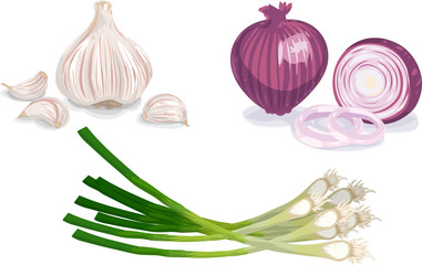 Garlic, Onion, Scallion
