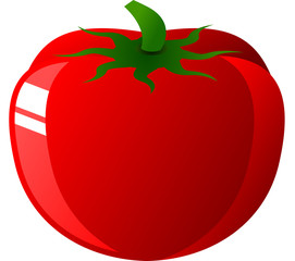 Tomato