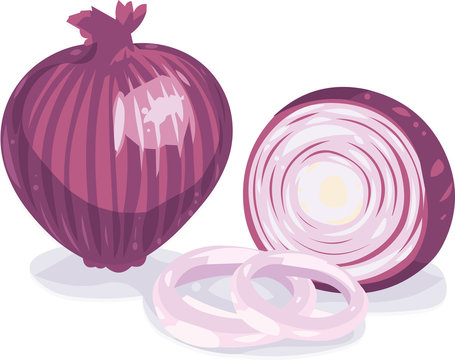 red onion whole, sliced, rings, food clip art preview