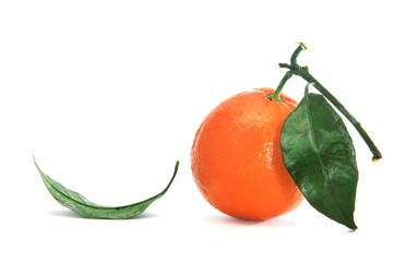 orange with leaves on a white background