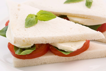 Tomaten Mozzarella Sandwich