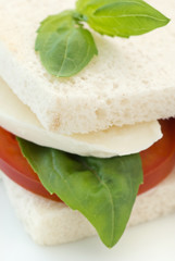 Tomaten Mozzarella Panini