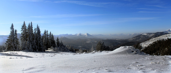 Winterlandschaft - prealpine landscape in winter