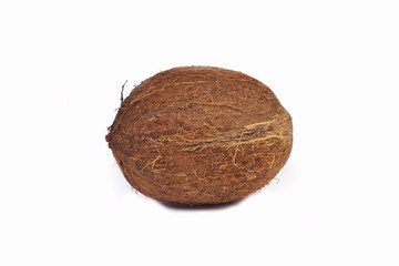 Coconut