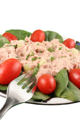 Tuna fish and spinach salad