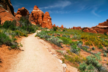 Sunny day in Arches Canyon. Utah. USA