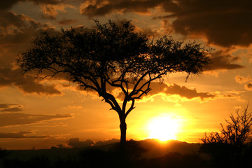 African Sunset. Tanzania, Africa