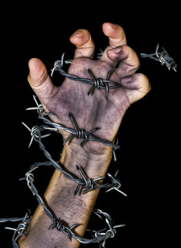 Hand Grabbing A Barbed Wire