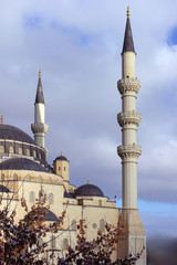 New mosque in the city (fragment). Ashkhabad. Turkmenistan.
