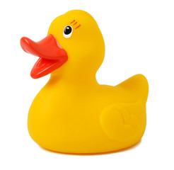 Yellow rubber duck