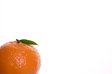 Fruit oranges